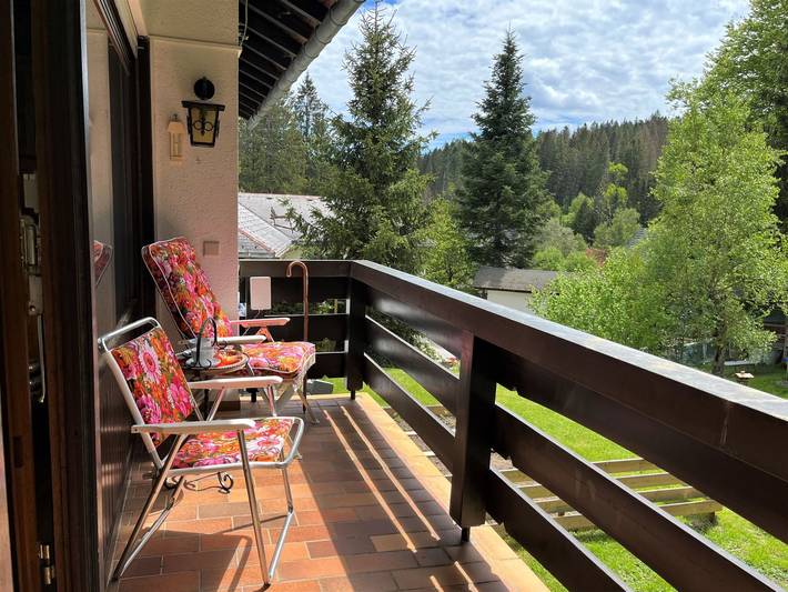 Ferienwohnung für 6 Personen, mit Balkon und Garten in Schluchsee - 3