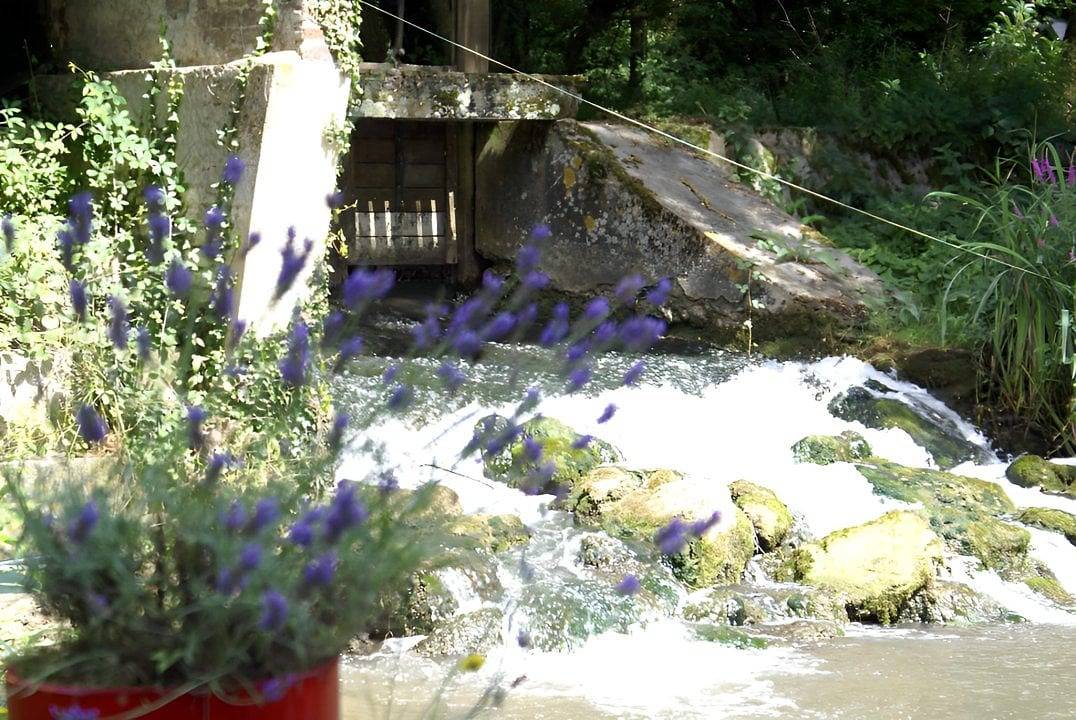 Le moulin de Champrond- Montmirail - Sarthe - La Meunière - balneo in Champrond, Sarthe