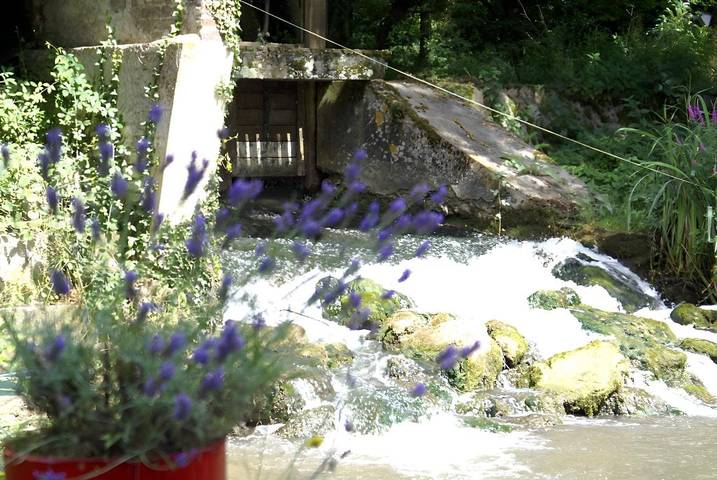 Chambre d’hôte pour 6 personnes, avec jardin dans la Sarthe - 3