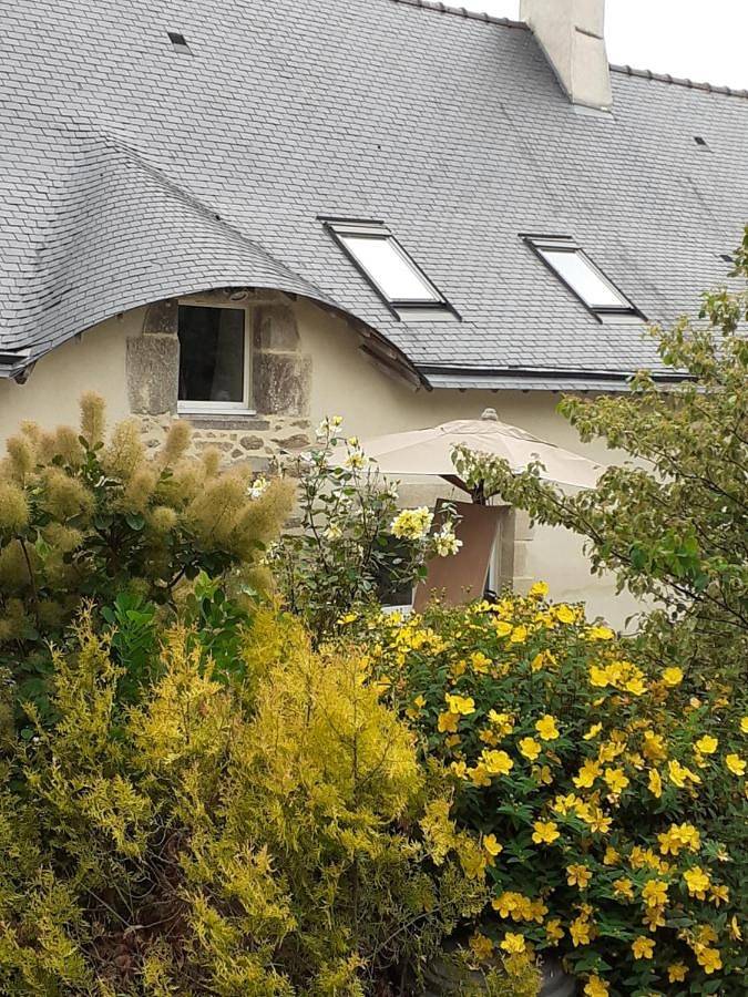 Chambre d’hôte pour 3 personnes, avec jardin et vue à Ambon - 4