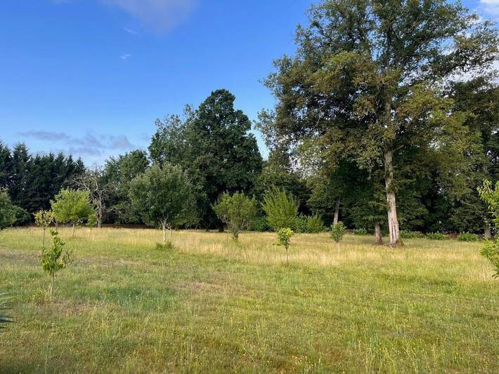 Location de vacances pour 16 personnes, avec jardin et piscine à Lamothe-Montravel - 3