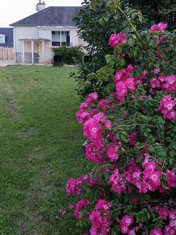 Location de vacances pour 6 personnes, avec jardin et vue à Vineuil - 4