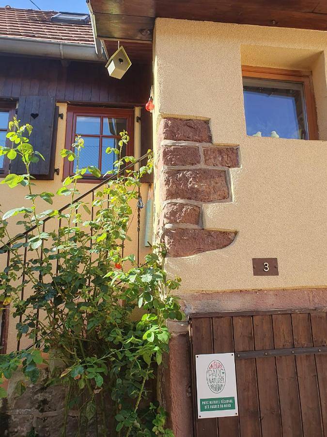 Location de vacances pour 2 personnes, avec jardin à La Petite-Pierre - 3