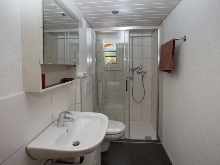 Ferienwohnung für 5 Personen in Frutigen - 2