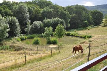 Chambre d’hôte pour 2 personnes, avec vue sur le lac ainsi que jardin et vue à Pollionnay