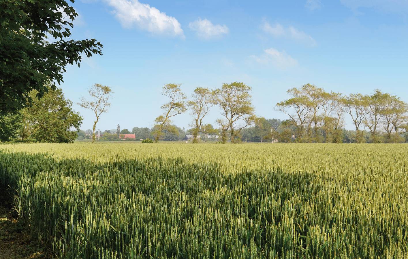 Appartement confortable près du centre de Coulogne et de la rivière in Hames-Boucres, Région de Calais