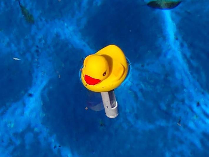 Location de vacances pour 2 personnes, avec vue ainsi que jardin et piscine à Loja - 4