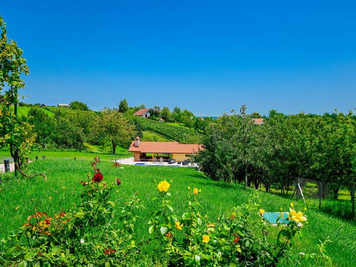 Madera in Zagreb und Umgebung