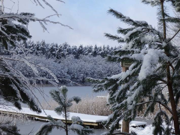 Ferienhaus für 6 Personen, mit Seeblick und Sauna sowie Garten und Terrasse, kinderfreundlich in Lychen - 2