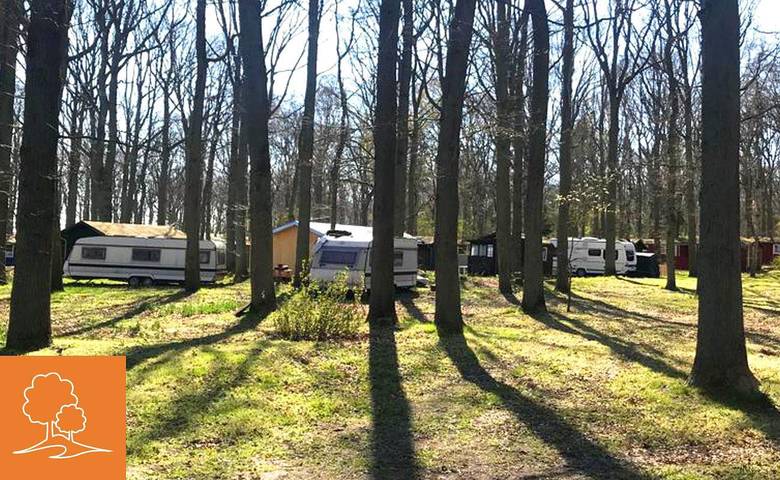 Ferienhaus für 6 Personen auf Rügen - 4