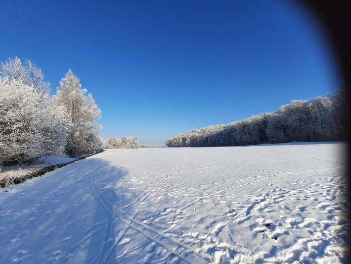 Ferienwohnung für 5 Personen, mit Balkon und Garten, kinderfreundlich in Augsburg und Umgebung - 3