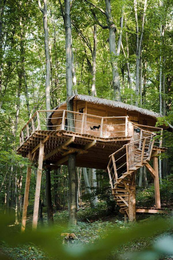 Treehouse Trenčianske Teplice in Kraj trenczyński