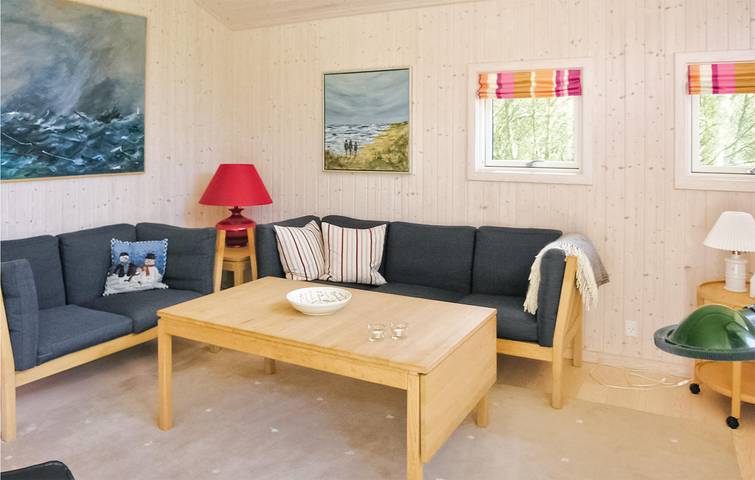 Ferienhaus für 6 Personen, mit Whirlpool und Sauna sowie Terrasse, mit Haustier in Thorup Strand - 2