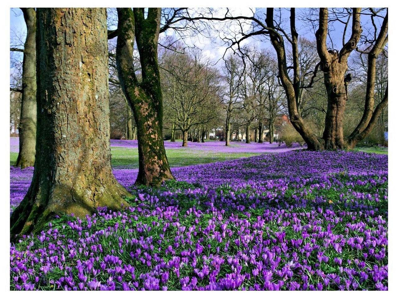 Ferienwohnung mit 2 Schlafzimmer in Uelvesbüll, Halbinsel Eiderstedt