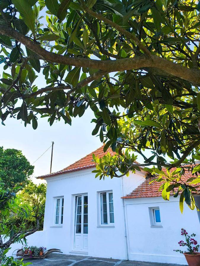 Location de vacances pour 8 personnes, avec jardin, animaux acceptés à Estarreja - 4