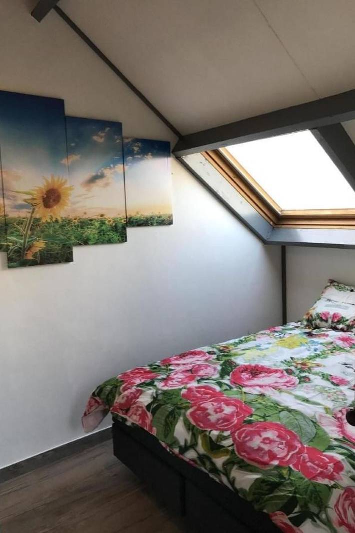 Ferienpark für 4 Personen, mit Garten, mit Haustier in Zeeland - 3