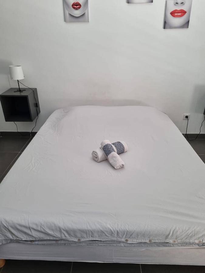 Gîte pour 2 personnes, avec jardin et vue, animaux acceptés à Castelnau-le-Lez - 2