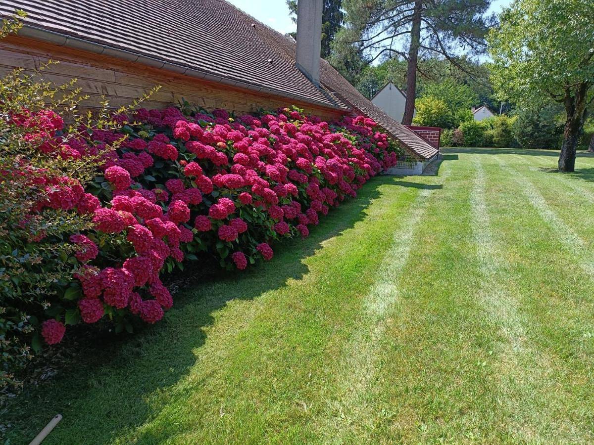 Gite de Miprovent in Lamotte-Beuvron, Sologne