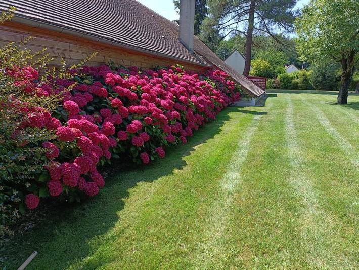 Maison d’hôte pour 14 personnes, avec piscine ainsi que jardin et vue