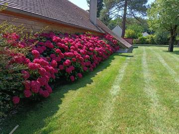 Gîte pour 14 personnes, avec vue ainsi que piscine et jardin à Lamotte-Beuvron