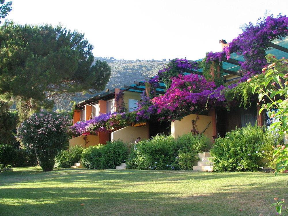 Appartement entier, Hélios 1 - 2/4 pers - Résidence Hélios in Cargèse, Parc naturel régional de Corse