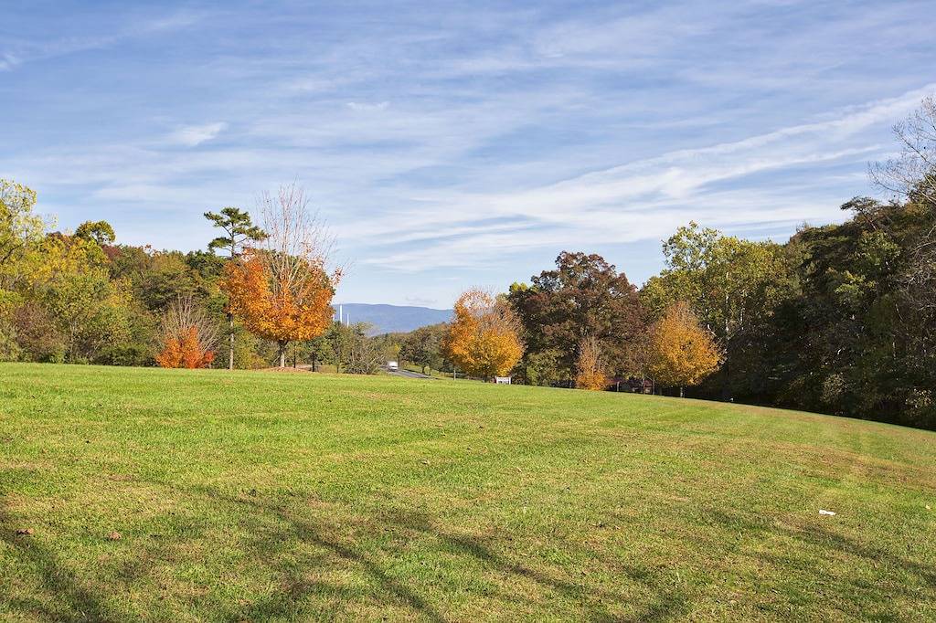 Welcome to the Nut House in Massanutten, Blue Ridge Mountains