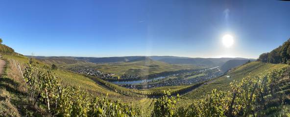 Ferienwohnung für 4 Personen an der Mosel