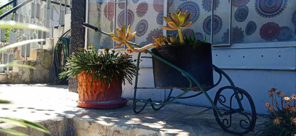 Gîte pour 2 personnes, avec vue et jardin, animaux acceptés à Mirandela - 4