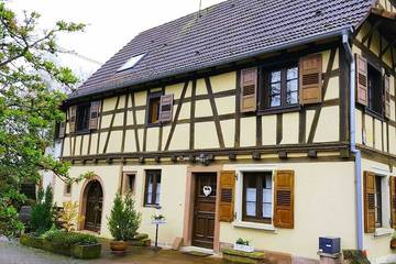 Location de vacances pour 4 personnes, avec jardin ainsi que terrasse et jacuzzi à Langensoultzbach