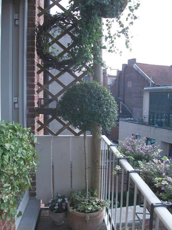 Gîte pour 2 personnes, avec terrasse et vue à Hasselt - 2