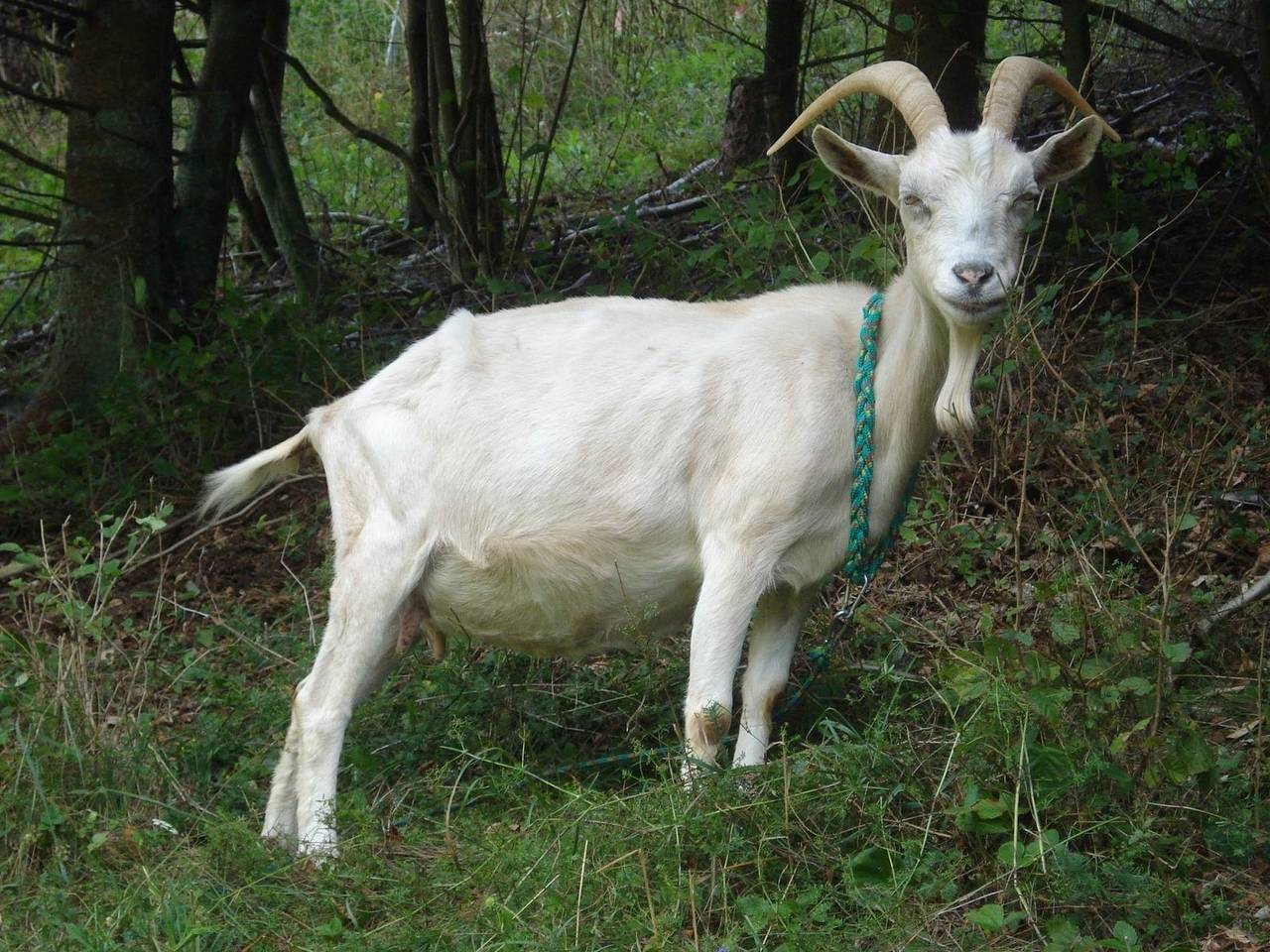 Ganze Ferienwohnung, Drei Zinnen in Hiltpoltstein, Frankenalb