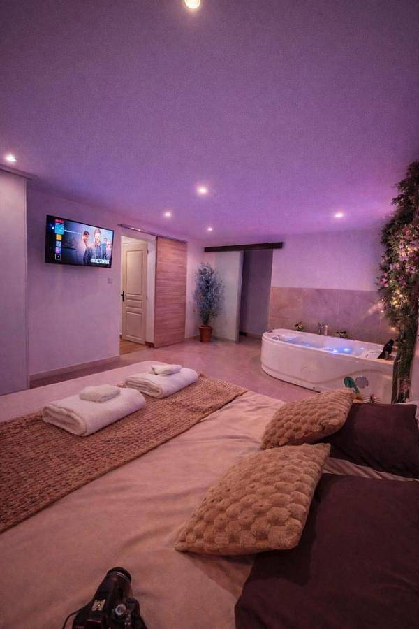 Gîte pour 4 personnes, avec jacuzzi à Naintré - 2