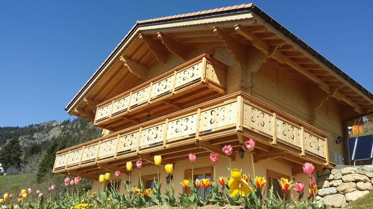 Winterfell in Leysin, Alpes Vaudoises