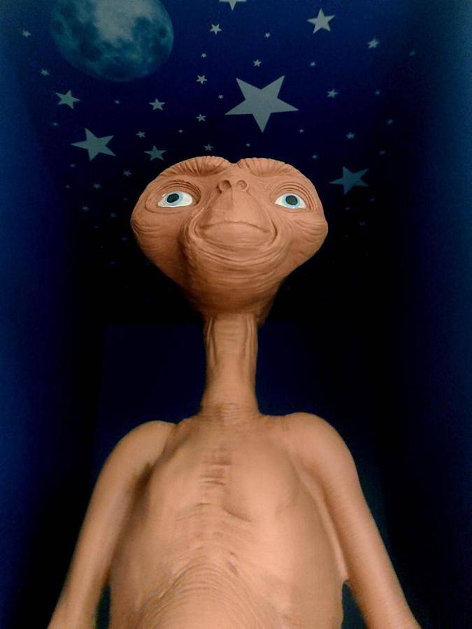 Location de vacances pour 7 personnes, avec terrasse dans Stade Marcel Deflandre - 3