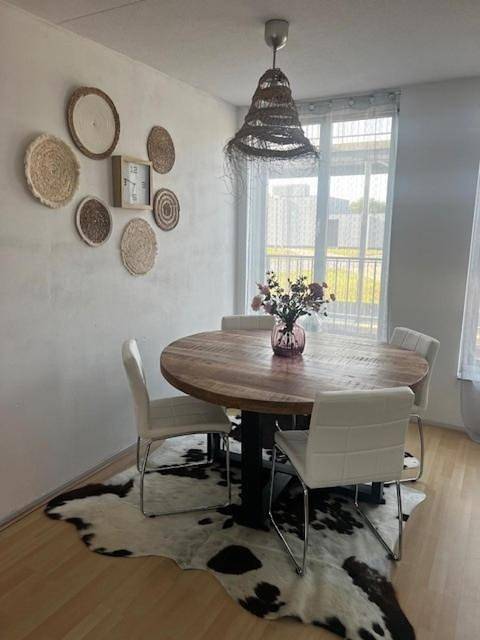 Gîte pour 4 personnes, avec jardin et vue, adapté aux familles à Alphen-sur-le-Rhin - 4