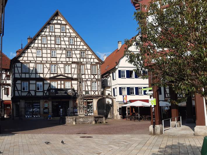 Ganze Ferienwohnung, Haus Collmer - Ferienwohnung 2, 80qm, 1 Schlafzimmer, max. 3 Personen in Bad Urach, Albsteig Etappe 9