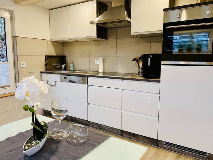 Ferienhaus für 2 Personen, mit Haustier im Ostharz - 4