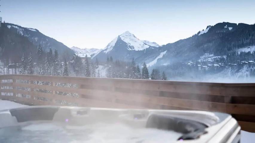 Chalet pour 11 personnes, avec jardin ainsi que piscine et sauna, animaux acceptés à Montriond - 3