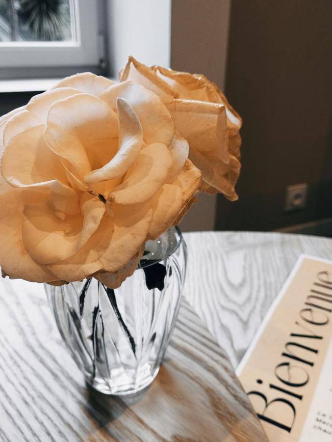 Location de vacances pour 4 personnes, avec jacuzzi ainsi que jardin et terrasse à Saint-Germain-le-Gaillard - 3