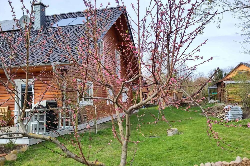 Ganze Wohnung, Ferienwohnung mit Fahrrädern und Garten in OT_Müncheberg, Müncheberg
