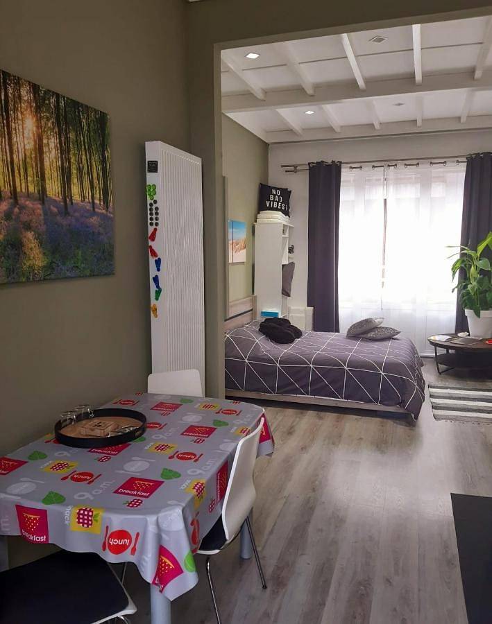 Studio with Terrace in La Panne, Côte belge