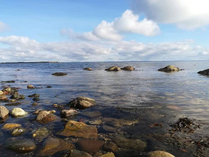 Ferienhaus für 8 Personen, mit Garten, kinderfreundlich in Råde Strand - 3