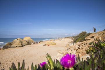 Villa for 8 People in Guia, Faro District, Photo 2