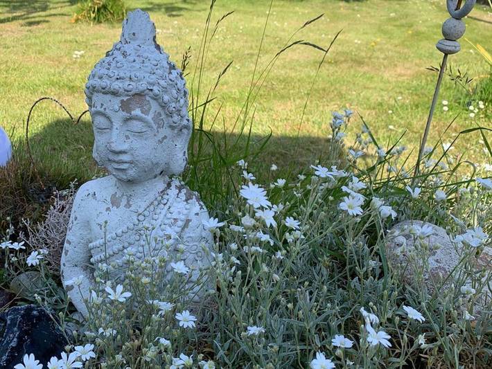 Ferienwohnung für 2 Personen, mit Terrasse und Garten in Dornum (Stadt) - 2