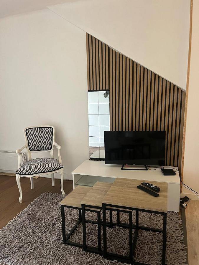 Appartement entier, Apartment in Villedieu-sur-Indre, Région de Châteauroux