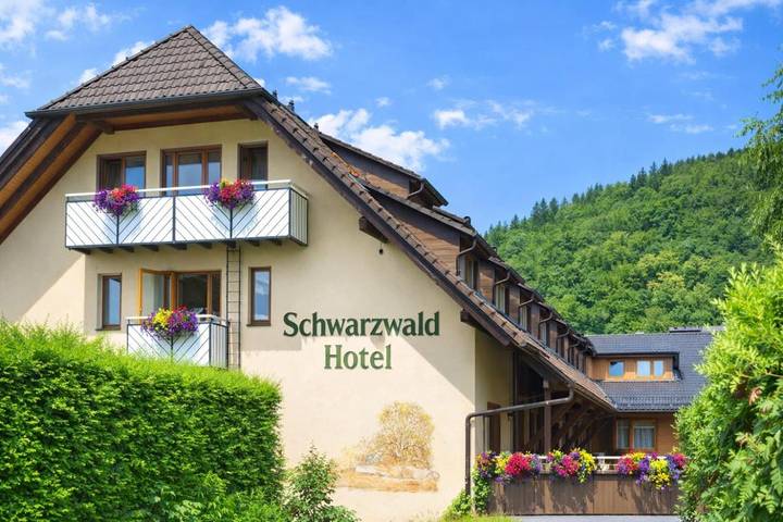 Hotel, mit Terrasse und Sauna sowie Ausblick in Oberharmersbach