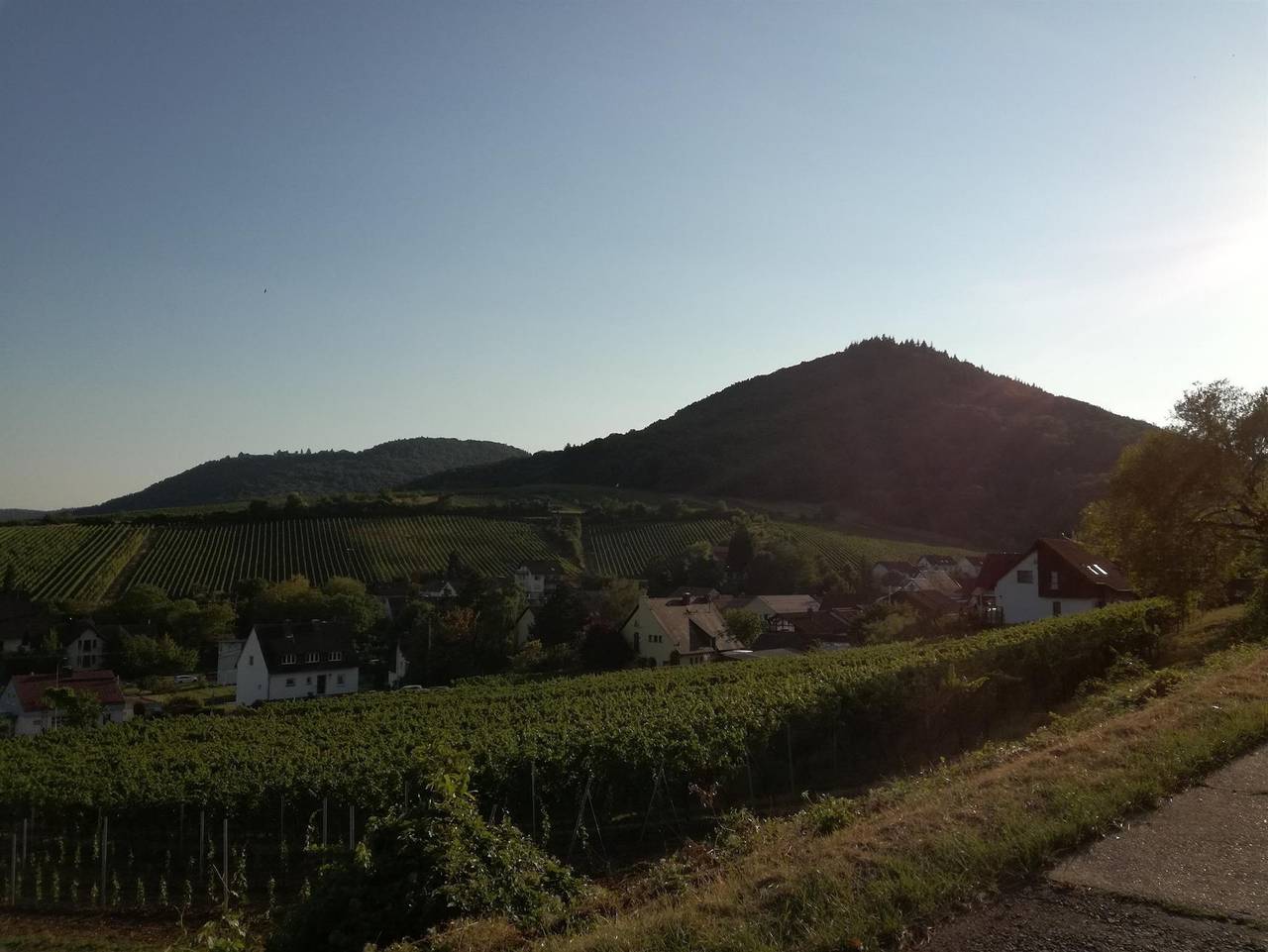 Gästehaus Erlenwein in Leinsweiler, Trifelsland