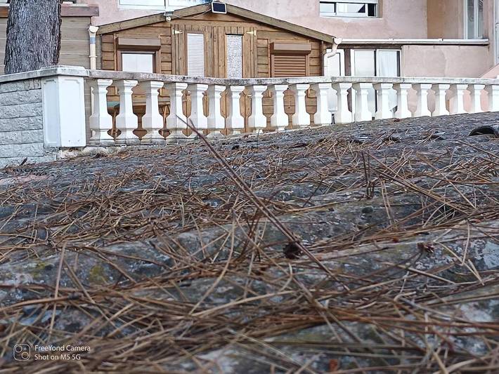 Ferienhaus für 2 Personen, mit Pool und Garten sowie Ausblick, mit Haustier in Nizza - 2