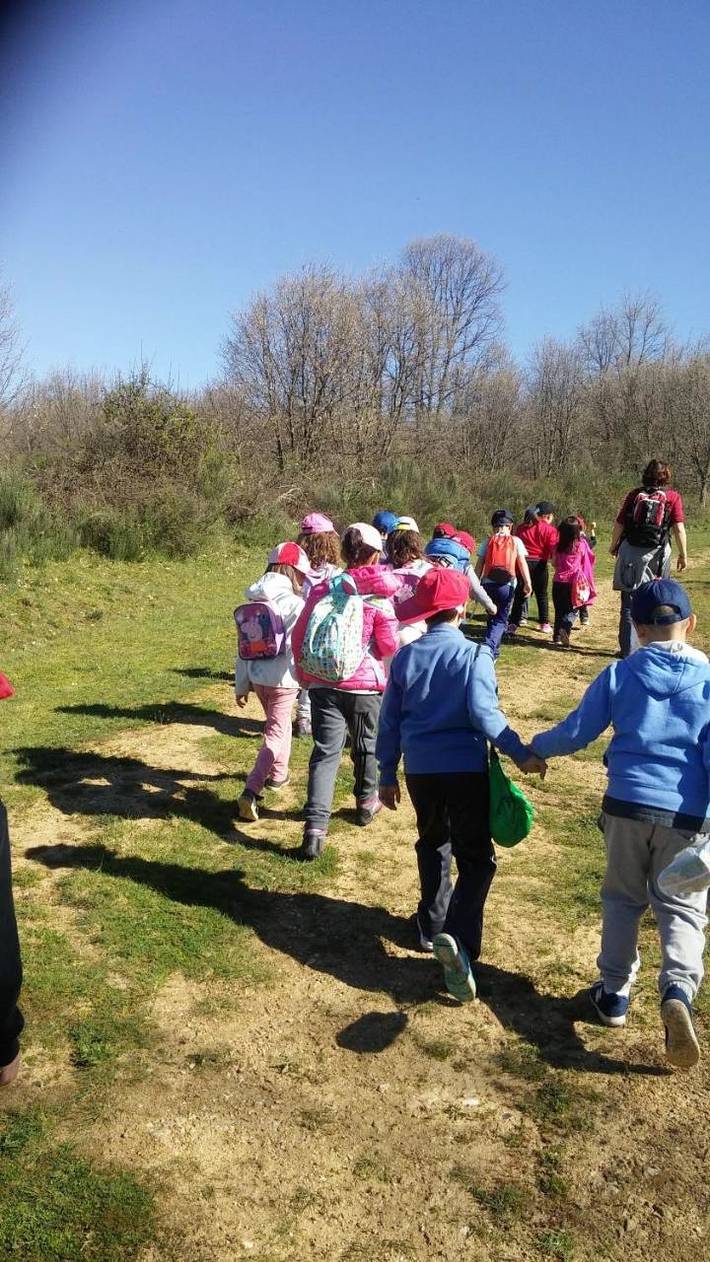 Hotel para 3 personas, con vistas y jardín en Sanabria (Zamora) - 3