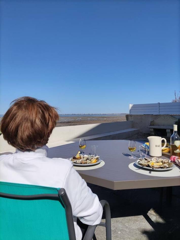 Gîte pour 6 personnes, avec terrasse dans Ronce-les-Bains - 4